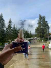 Kota Kinabalu - Mount Kinabalu is Heaven💯🌸✨