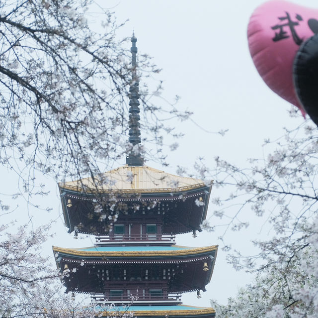 🌸武漢限定浪漫！把春天一口氣打包帶走✨