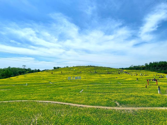 五一節快樂︱芸上梯田，雲下風景