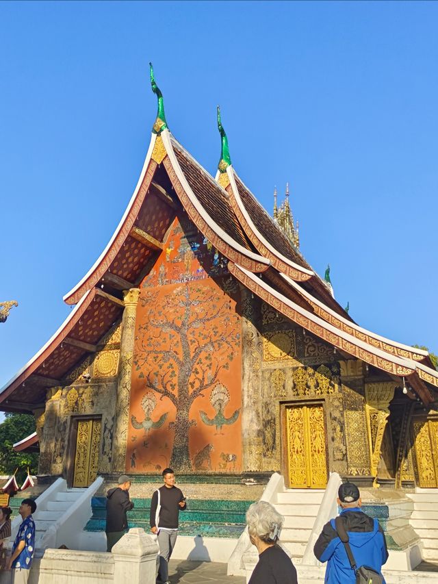 與佛光同塵的慢旅行，與晨霧交織的朝聖
