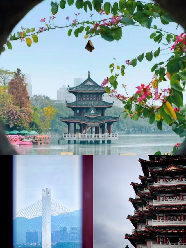 一身輕貧怎敢入繁華 兩袖清風怎敢誤佳人 #