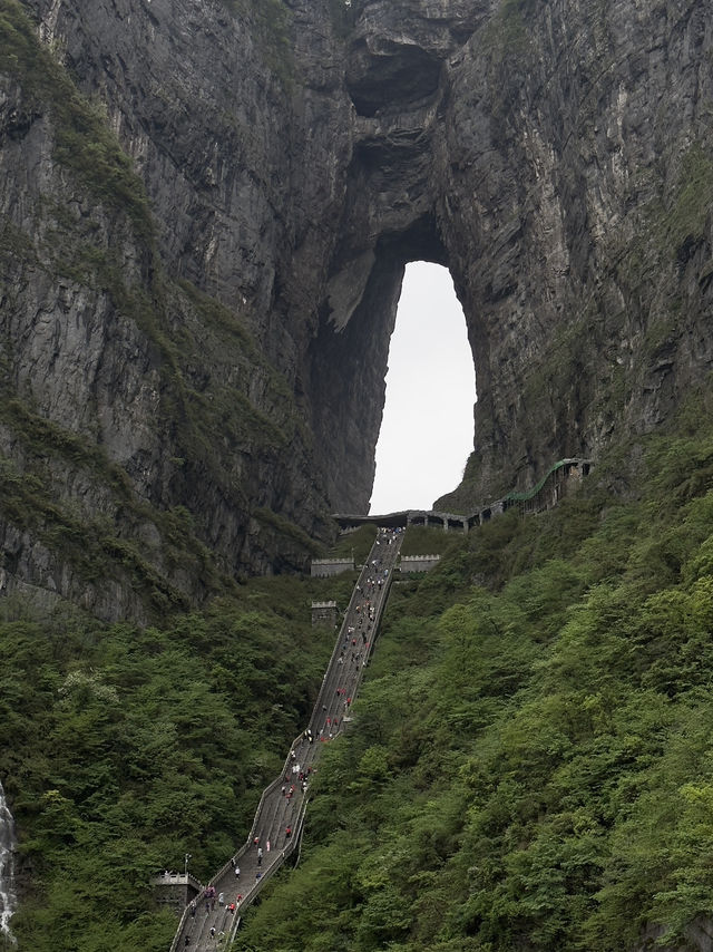 Zhangjiajie - A Dreamlike Mountain Escape 