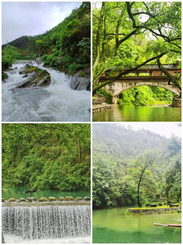 茶野秘境｜安化冷門暴擊天花板