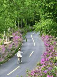 瀋陽周邊遊|搵到通往杜鵑花海嘅山間小路