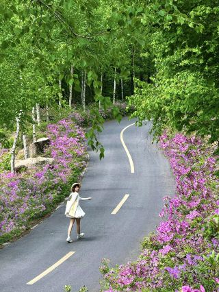 Shenyang Day Trip | Discovered the mountain trail leading to a sea of azaleas