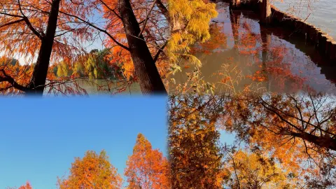 [ท่องเที่ยวเชิงวัฒนธรรมเวยฟาง·เที่ยวเมืองหยวน] — traveler post in หลินชู