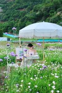 平陽嘅花海已經係next level喇