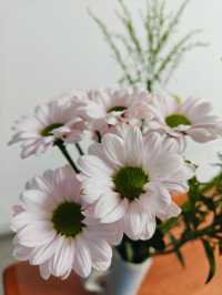 花點時間買束花，我的夏天直接降溫5°C