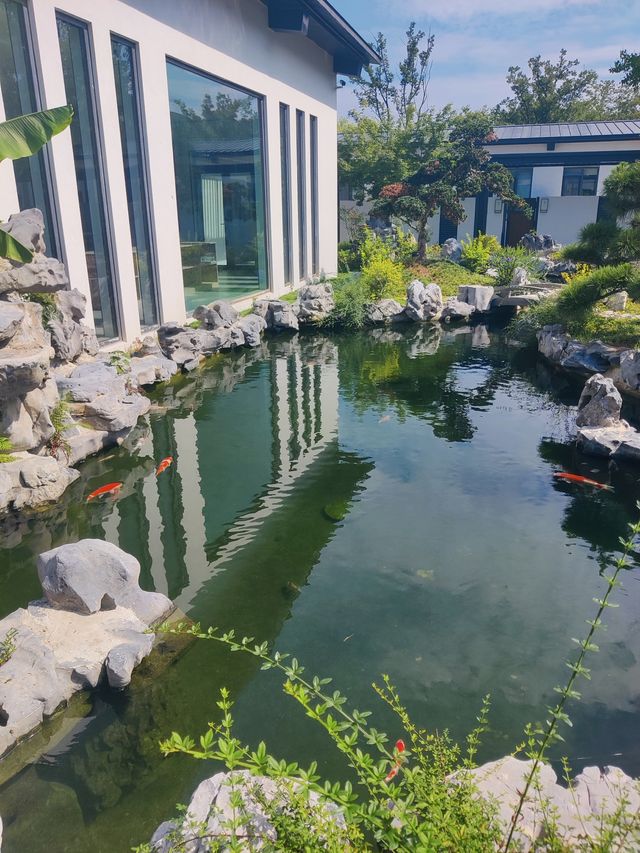 快嚟睇一棵生得唔多聰明嘅樹。