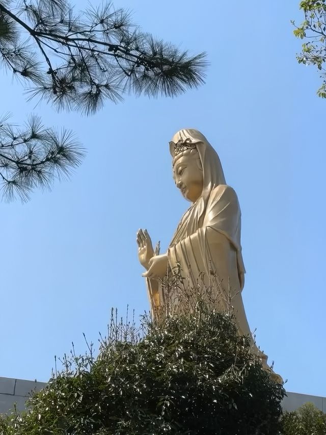 帶娃普陀山祈福攻略