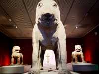 Secrets of the Han Dynasty: Exploring the Huize Tomb Museum’s Ancient Treasures