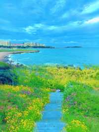 青島兩日遊超級無敵詳細攻略嚟啦嚟啦