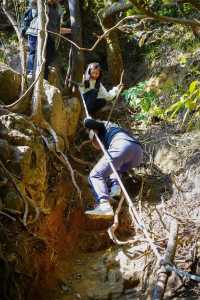 雞枕山：花崗岩森林嘅階梯呼吸術