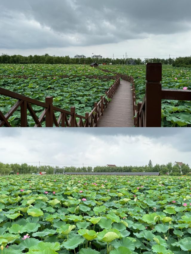 荷香民俗園 | 藏喺鄉間嘅煙火寶藏地