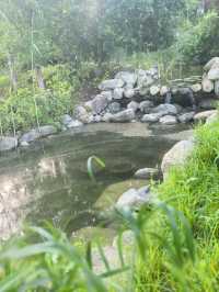 逃離喧囂好去處 蘇州太湖嘅神仙度假村