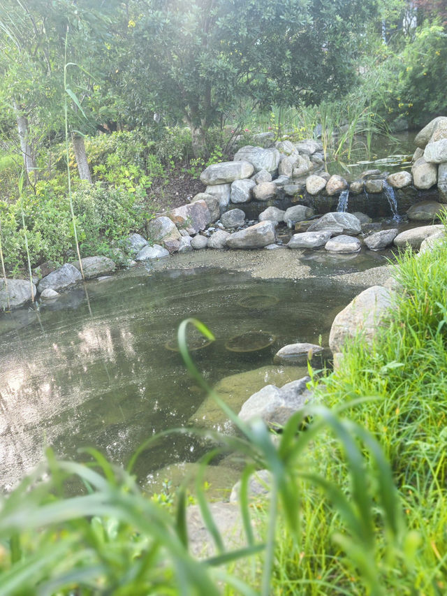 逃離喧囂好去處 蘇州太湖嘅神仙度假村