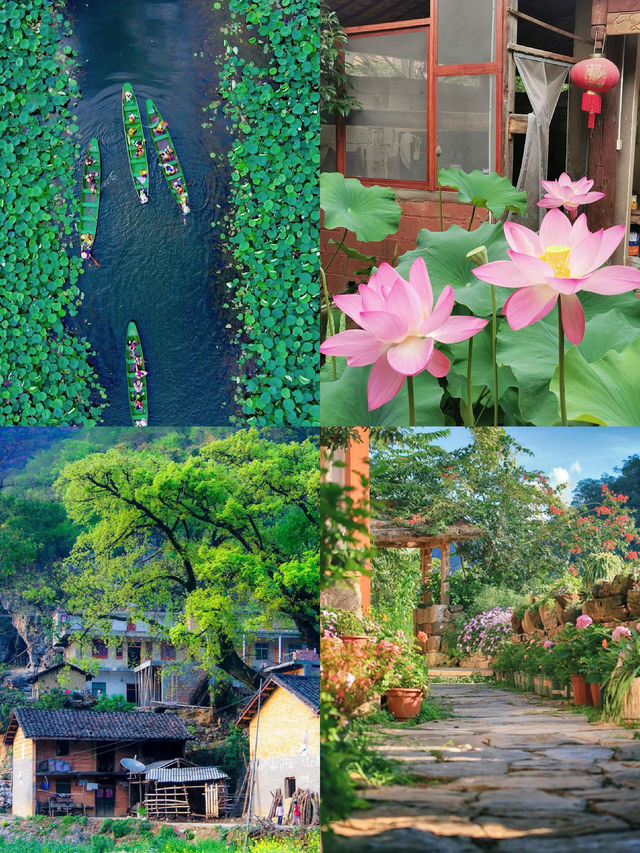 衝入現實版《三生三世》！普者黑的夏天美到窒息
