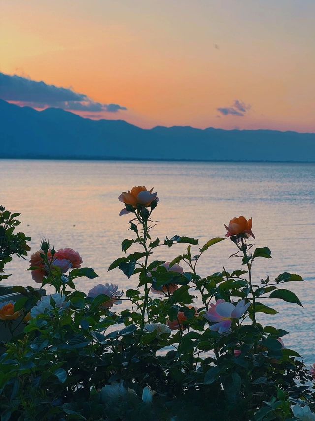 洱海：探索雲南高原嘅翡翠明珠