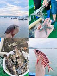海南旅遊趕海划槳板海鮮大餐全安排