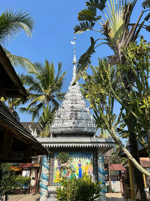 #西雙版納之旅  西雙版納是中國雲南省最熱門嘅旅遊目的地之一，以其熱帶雨林、傣族文化、豐富嘅動植物資