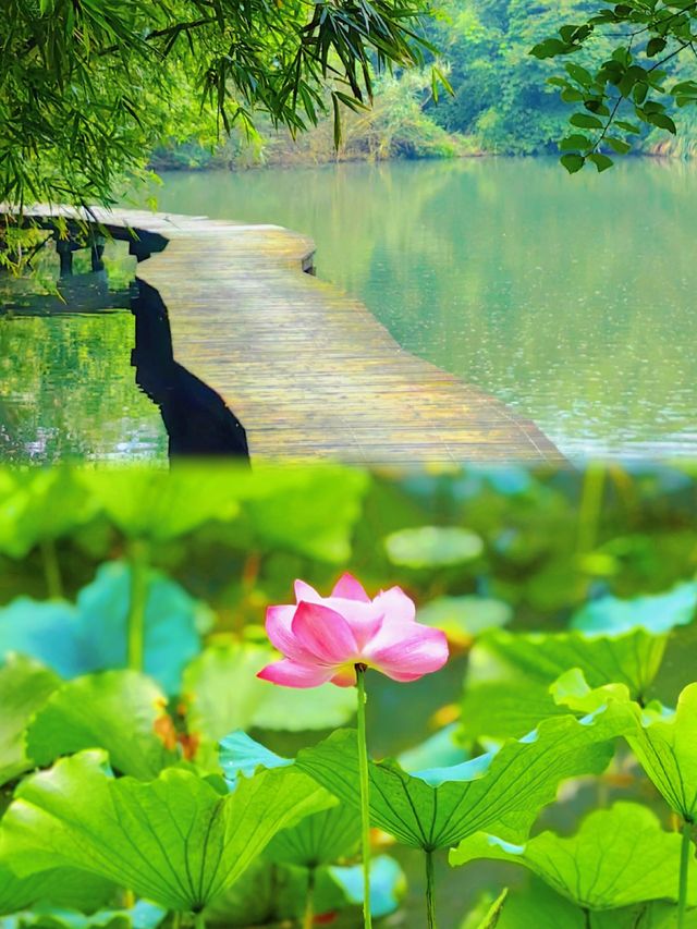杭州玩咗三日，我嘅消費觀真係崩潰咗