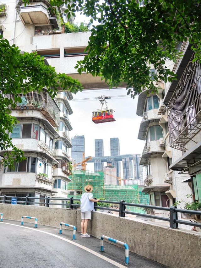 為咗呢輯相，我特登飛咗去重慶