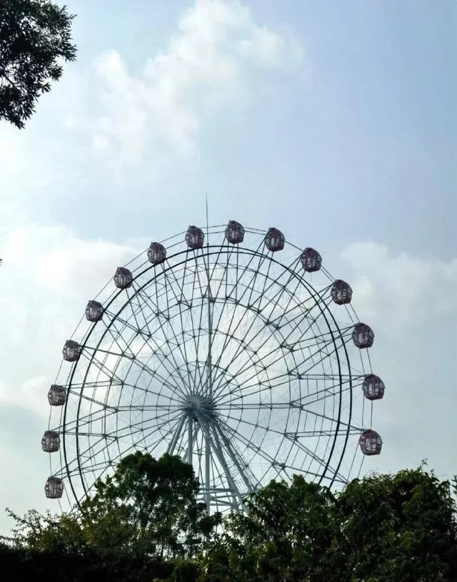 深圳小眾秘境，龍華新開免費環湖綠道！