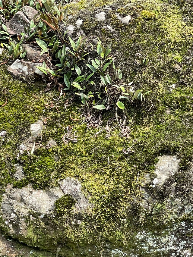 朗沖，雲端上的村落