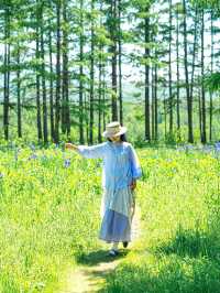 山坡上花開，我與春風撞個滿懷