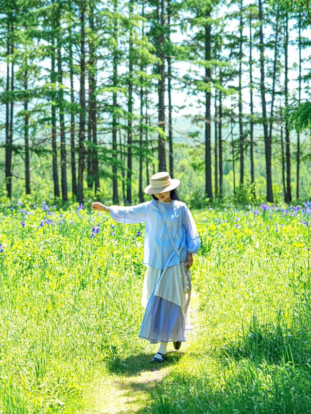 山坡上花開，我與春風撞個滿懷