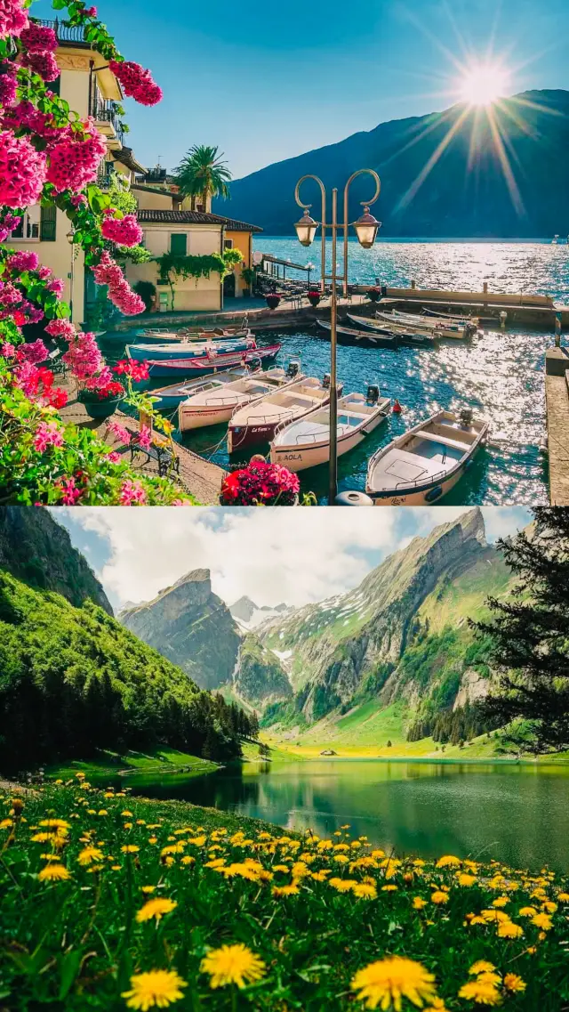 ทัศนียภาพอันงดงามของเทือกเขาแอลป์และทะเลสาบ