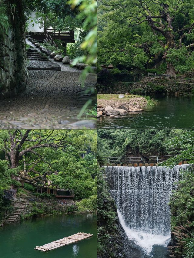 上海桐廬自駕已回