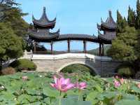 去了4次徐州雲龍湖風景區，終於玩明白了！