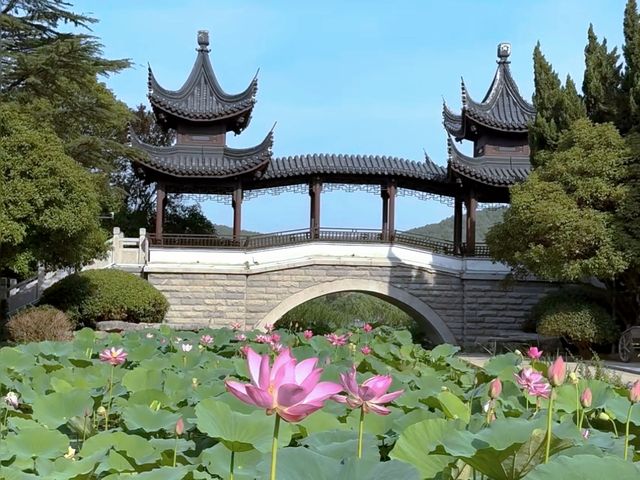 去了4次徐州雲龍湖風景區，終於玩明白了！