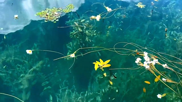 瀘沽湖人間仙境防坑指南3日2夜玩回本（附攻略）
