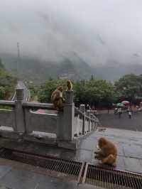 濟源猴山五龍口，太行山下的精靈王國