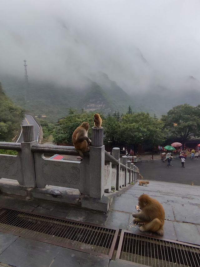 濟源猴山五龍口，太行山下的精靈王國