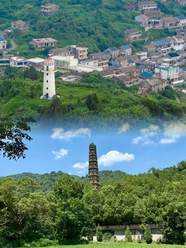 海島+古寺+竹林吸氧，玩轉台州！