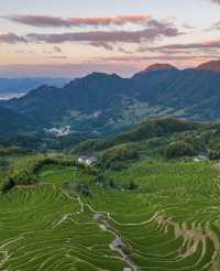 雲和梯田最美日出