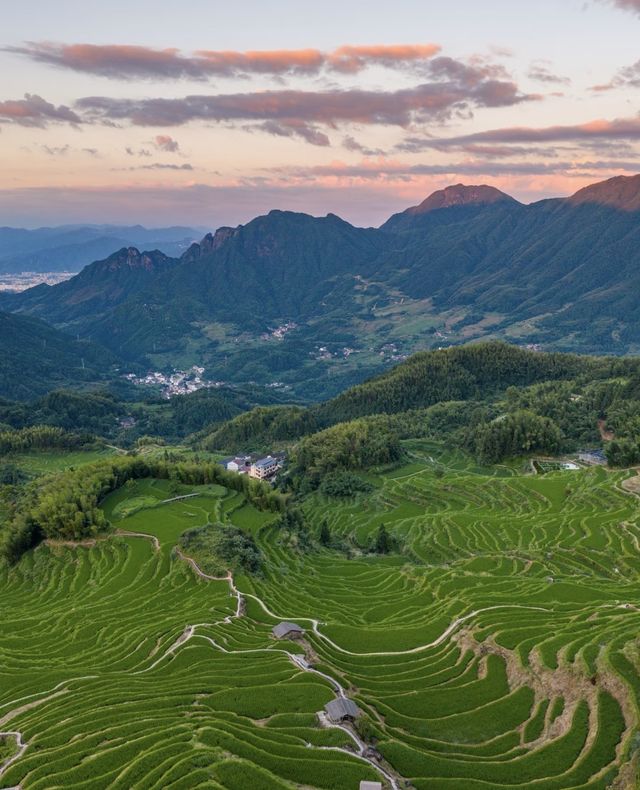 雲和梯田最美日出 雲和梯田最美日出