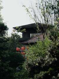 喺山野之間解鎖動靜皆宜嘅度假模式｜美憬閣太識我啦！