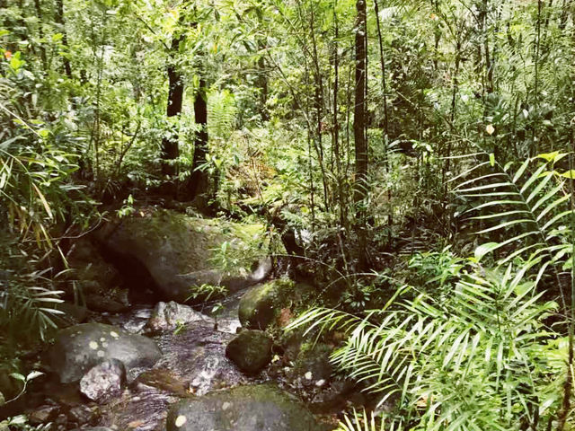 Kota Kinabalu in One Day: Tribal Heritage & Night City Glow 🎭🌆 Kota Kinabalu in One Day: Tribal Heritage & Night City Glow 🎭🌆
