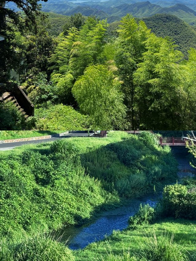 莫干山隱藏玩法大公開！避開人潮獨享整片竹海嘅神仙攻略