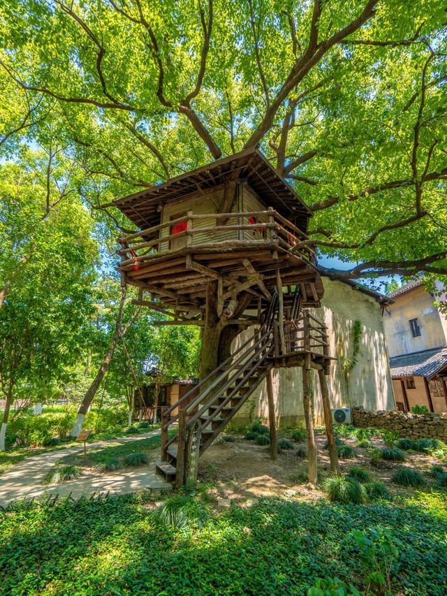 烏鎮烏村：爸媽偷閒，娃在快樂老家撒歡！