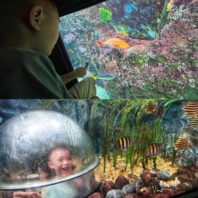 更適合4-8歲寶寶體質的日本LEGOLAND 更適合4-8歲寶寶體質的日本LEGOLAND