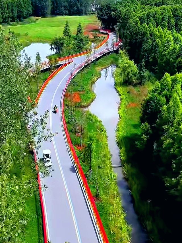 昆明滇池綠道：漫步湖光山色間的生態之旅