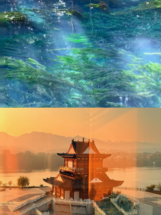 被十一自駕桂林的行程滿意到睡不著覺