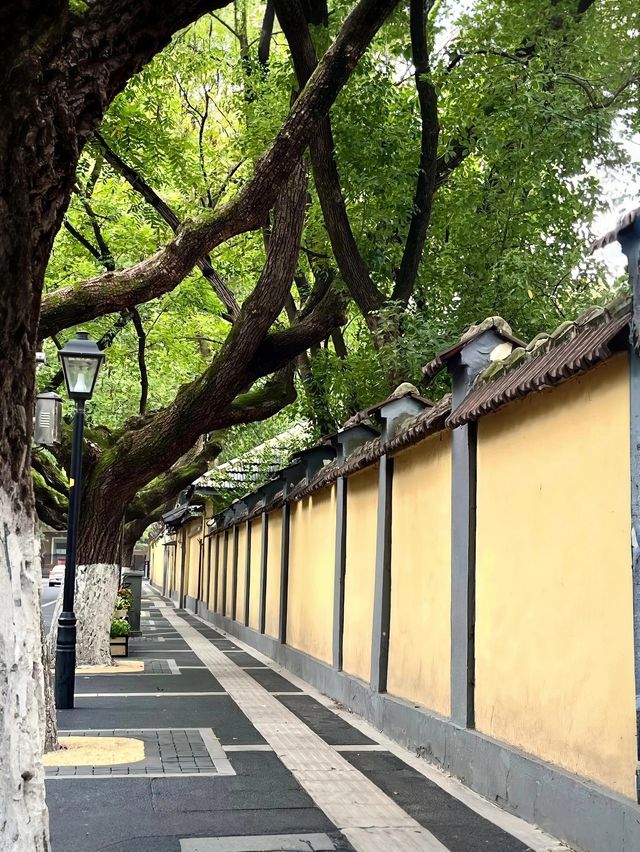 老宅深巷藏故事，歲月靜好頤和路