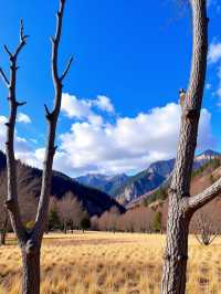 日本日光紅葉季必打卡地！錯過再等一年