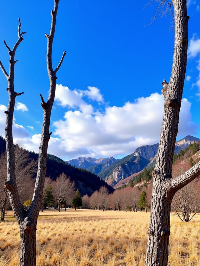日本日光紅葉季必打卡地！錯過再等一年